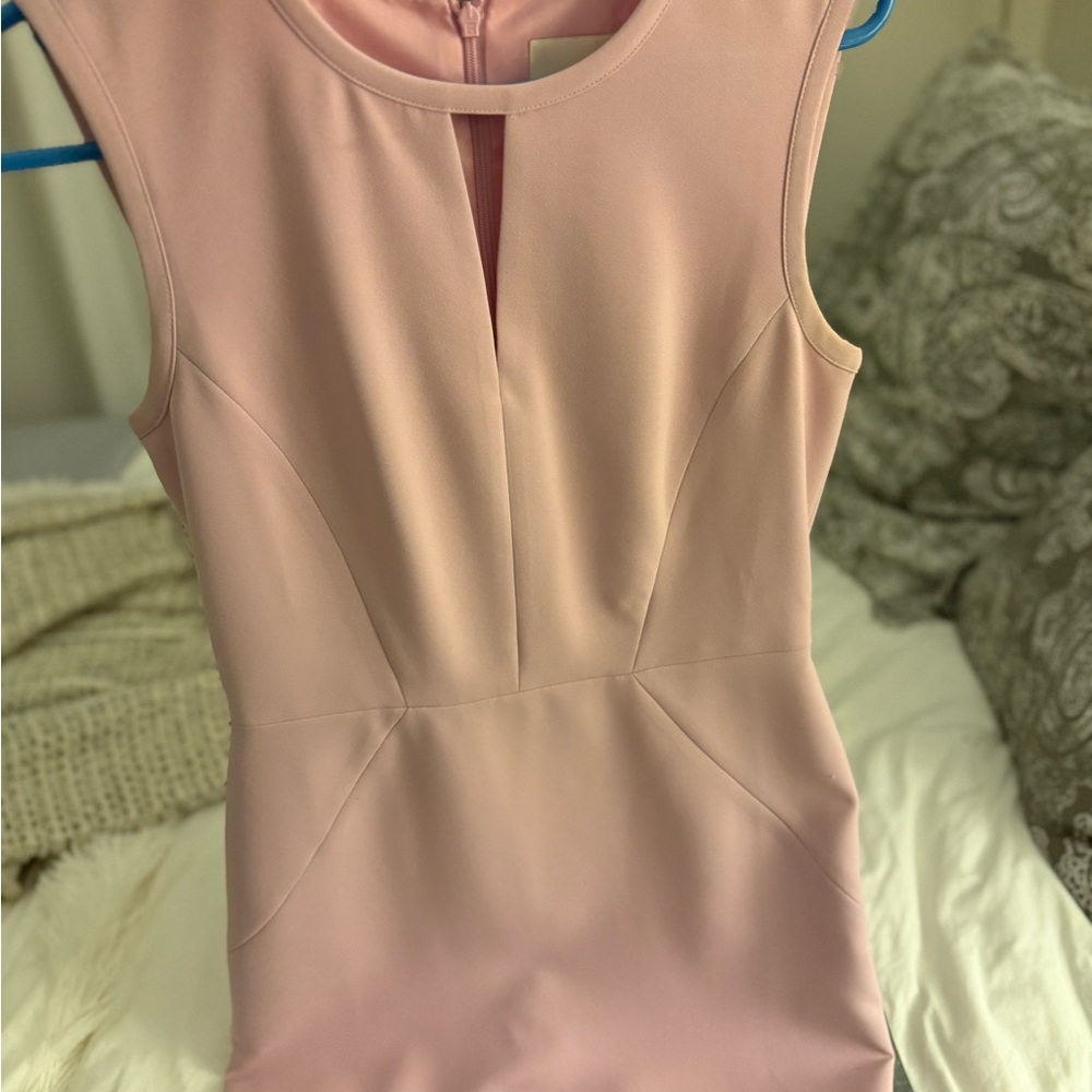 J. Crew Pink Petite Dress